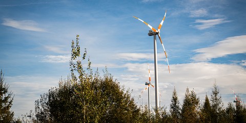 Windräder die aus Wald rausschauen