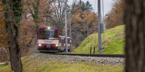 Salzburger Verkehrsverbung Online Kampagne Foto: Neumayr/Leo 10.11.2021