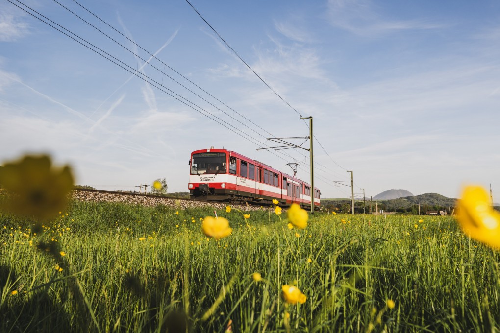 Entlang der Bahnstrecke der Bahnstrecke der Salzburger Lokalbahn (Linie S1) zwischen Salzburg Stadt und Lamprechtshausen im Frühling am 14.04.2024 // Along the railway line of the Salzburg Local Railway (line S1) between Salzburg city and Lamprechtshausen in spring on April 14, 2024 //