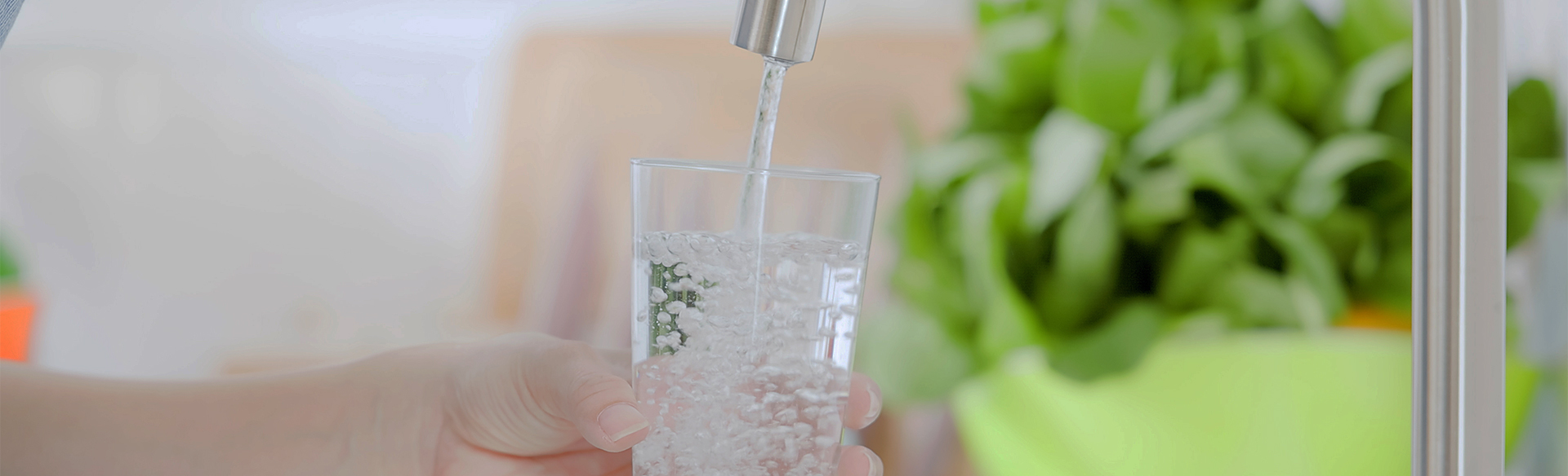 Trinkwasser – häufig gestellte Fragen
